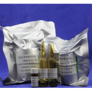 GBW10173	乙腈中黄曲霉毒素B1溶液标准物质	100μg/mL	4mL
